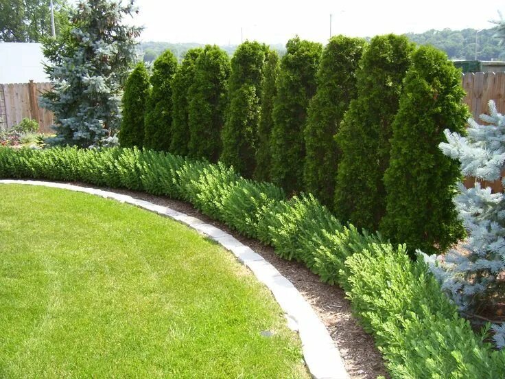 Посадить вдоль забора фото Landscape Edging. Good idea for the backyard along the wall Landscaping along fe