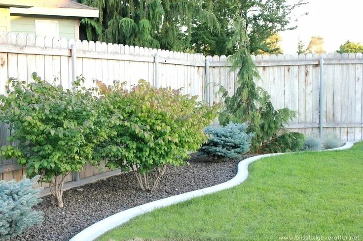 Посадить забором фото 33 Small Front Garden Designs To Get The Best Out Of Your Small Space Cheap land