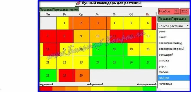 Посадка чеснока лунный календарь 2023 Когда сажать чеснок под зиму в 2016 году по Лунному календарю?