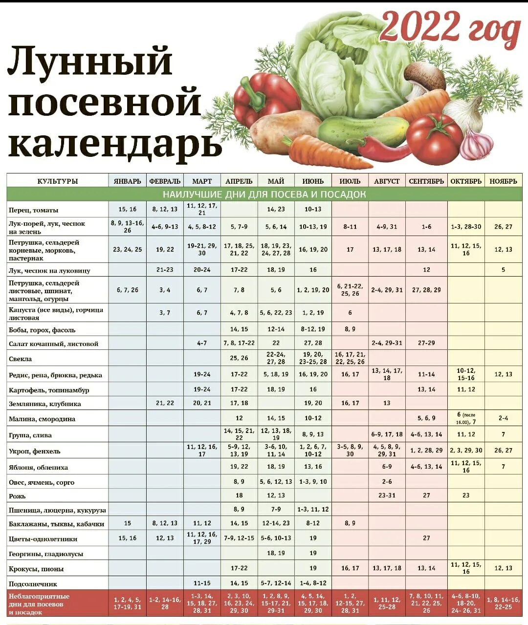 Посадка чеснока лунный календарь 2023 Благоприятные дни для посадки чеснока октябрь месяц: найдено 90 изображений