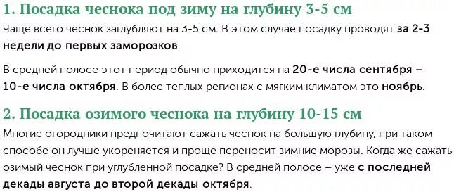 Посадка чеснока на зиму 2024 лунный календарь Когда сажать чеснок под зиму в 2021 году осенью? Посадка чеснока по лунному кале