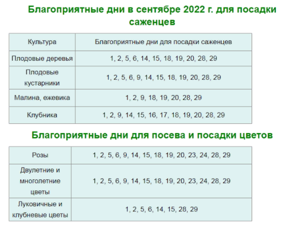 Сажать чеснок по лунному