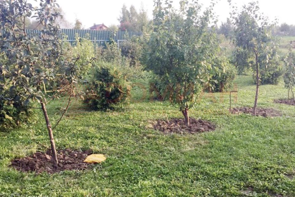 Посадка деревьев на участке фото Купить земельный участок в рассрочку в Весенней (Новочеркасск) - объявления о пр