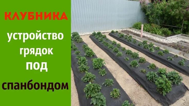 Посадка клубники фото грядки КЛУБНИКА. УСТРОЙСТВО ВЫСОКИХ ГРЯДОК ПОД СПАНБОНДОМ Garden, Plants, Railroad trac