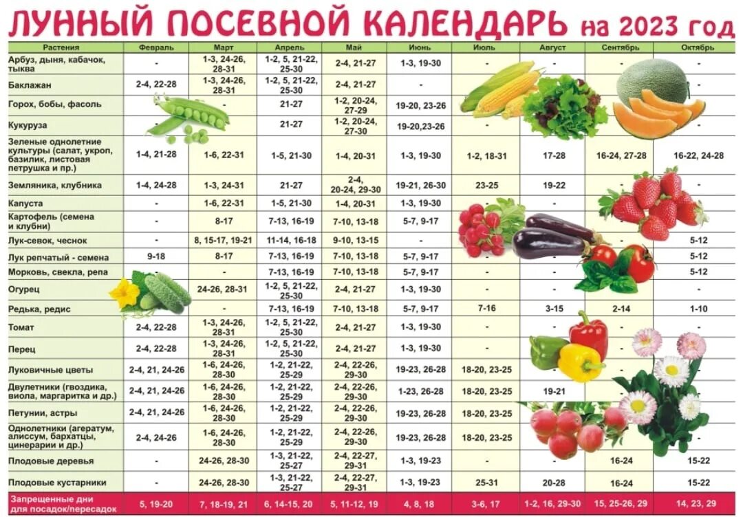 Посадка клубники по лунному календарю 2024 Посевные дни в марте 2024 года: найдено 76 изображений