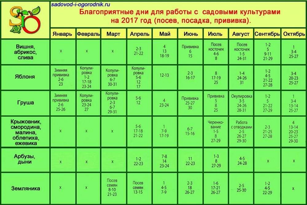 Посадка клубники в сентябре по лунному календарю Сажать клубнику в августе по лунному календарю - найдено 74 картинок