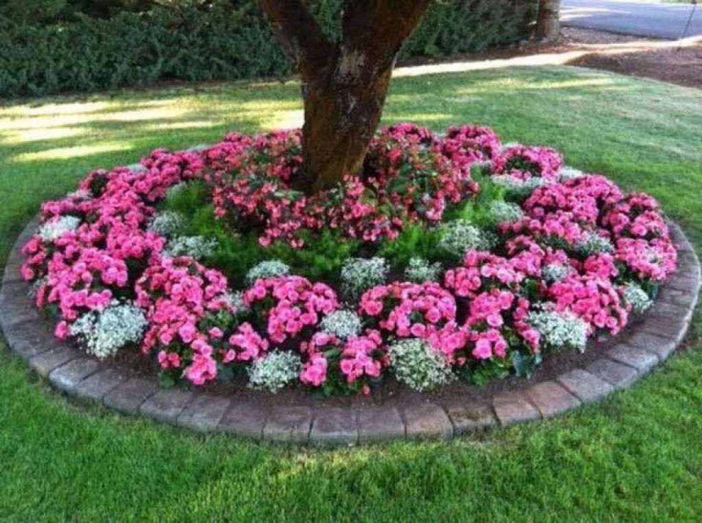 Посадка клумб фото For Sale Domain Annual flower beds, Landscaping around trees, Front yard landsca