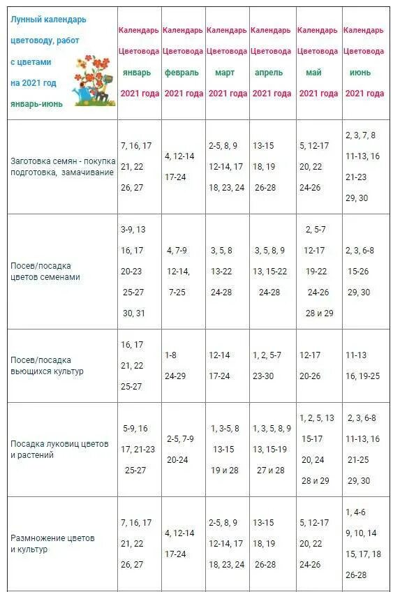 Посадка комнатных растений по лунному календарю Картинки ПОСАДКА КОМНАТНЫХ РАСТЕНИЙ ПО ЛУННОМУ