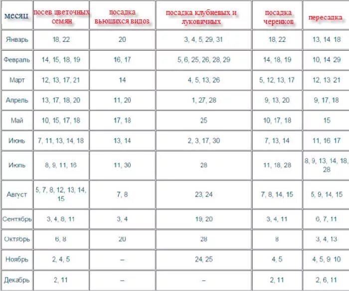 Посадка комнатных растений по лунному календарю Картинки ПОСАДКА КОМНАТНЫХ РАСТЕНИЙ ПО ЛУННОМУ
