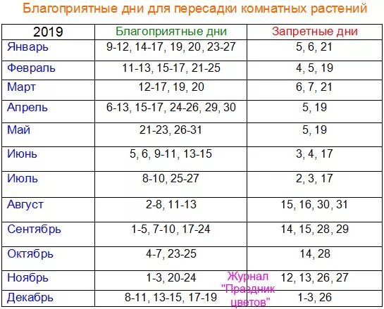 Посадка комнатных растений по лунному календарю Благоприятные дни для пересадки комнатных растений по лунному календарю в 2019 г