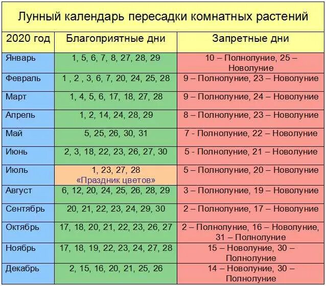 Посадка комнатных растений по лунному календарю Посадка пересадка комнатных растений по лунному календарю