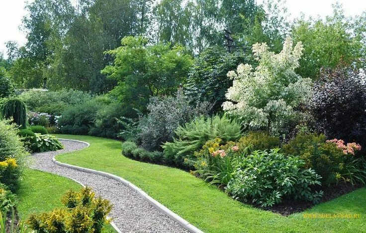 Посадка кустарников фото Новости Garden landscaping, Garden landscape design, Outdoor gardens design