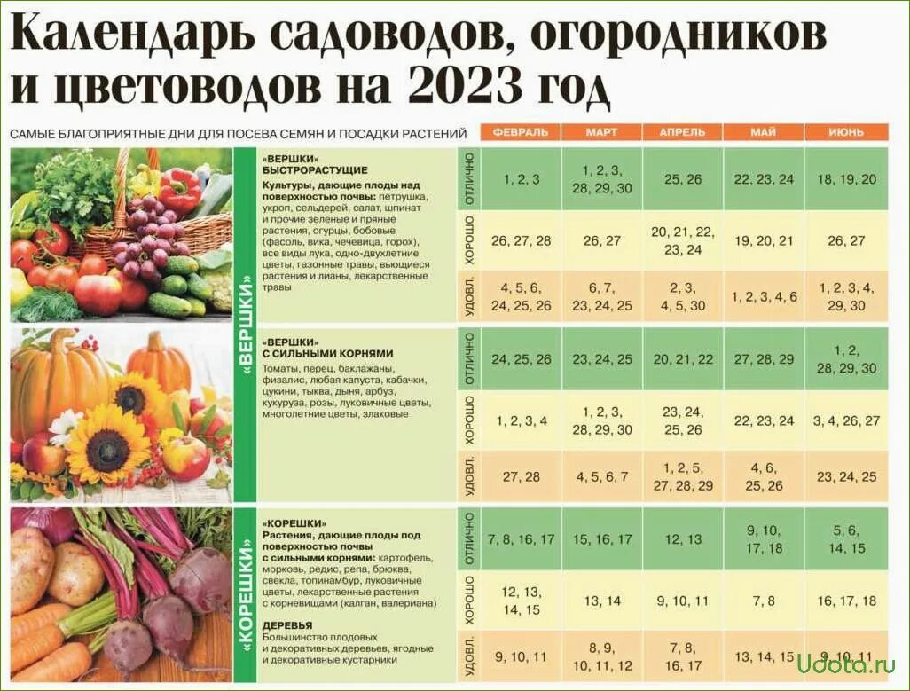 Посадка лука осенью 2024 по лунному календарю Картинки ПОКАЖИ КАЛЕНДАРЬ ПОСЕВА