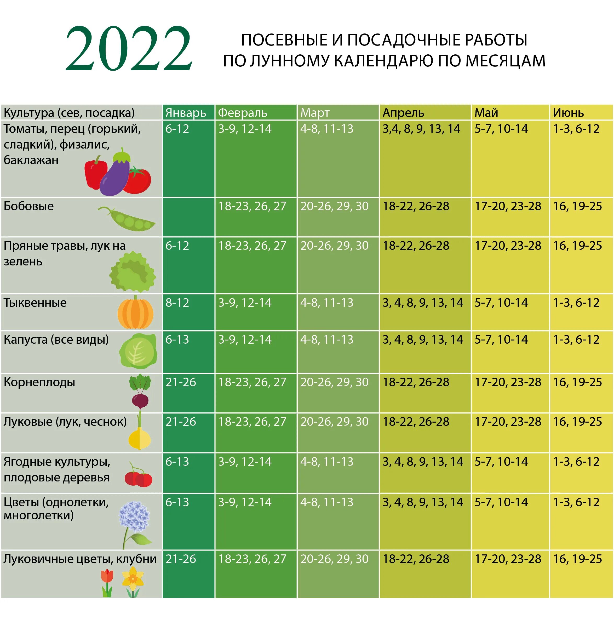 Посадка лука осенью 2024 по лунному календарю Дни для покупок 2024: найдено 51 изображений