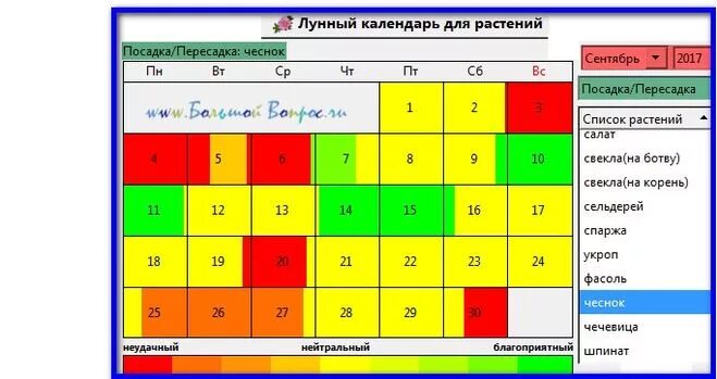 Посадка лука осенью под зиму лунный календарь Когда сажать чеснок под зиму в 2017 году по лунному календарю?