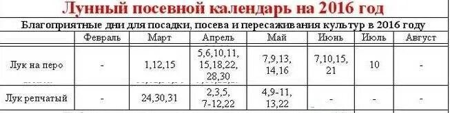 Посадка лука по лунному календарю Какого числа в мае посадить лук: найдено 80 изображений