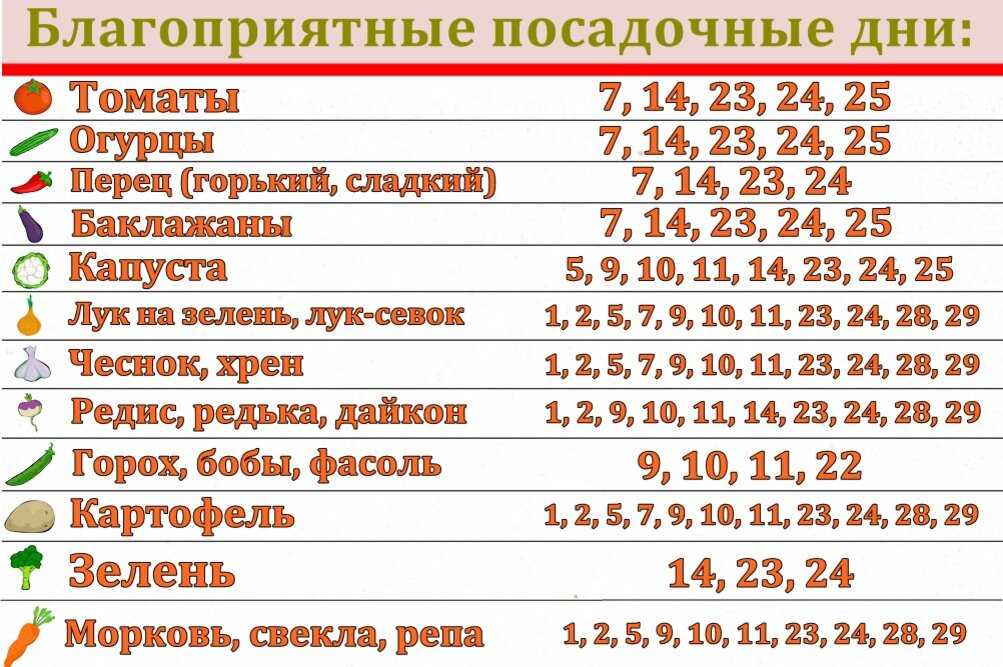 Посадка лука по лунному календарю в 2024 Календарь посадки семян 2024 благоприятные дни: найдено 75 изображений