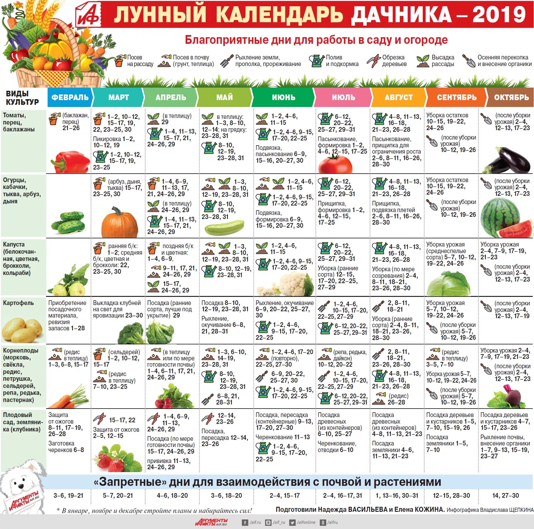 Посадка лука по лунному календарю в 2024 Посадка картофеля в 2024 году по лунному: найдено 64 картинок