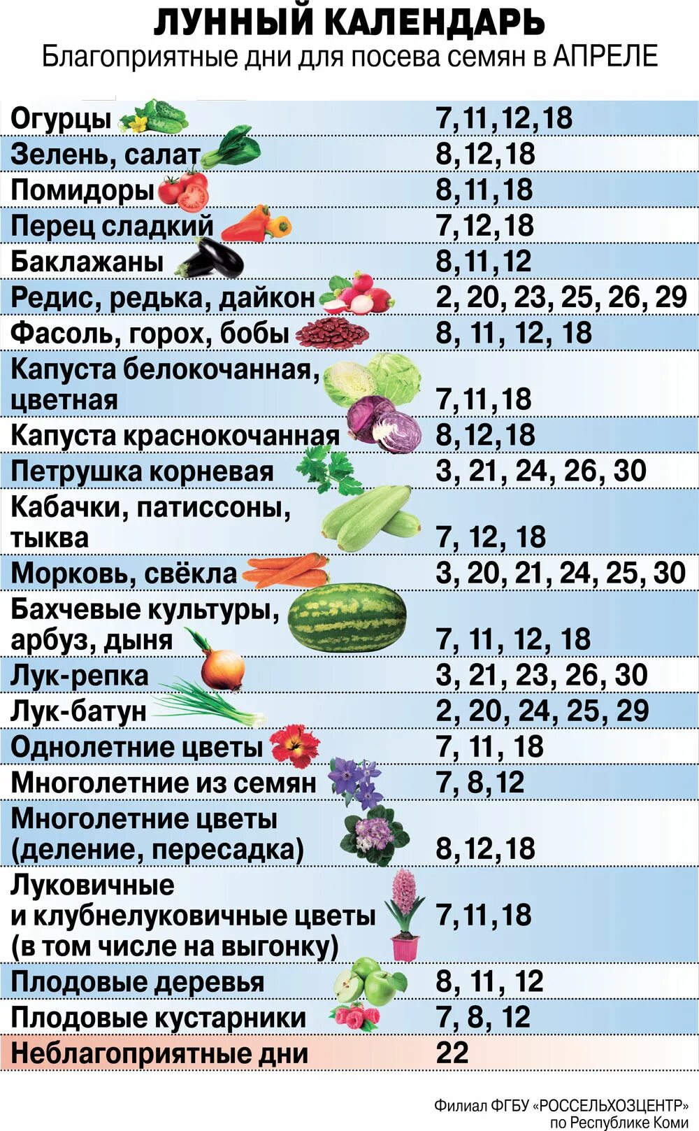 Посадка лука по лунному календарю в 2024 Календарь посадки рассады на 2024 год