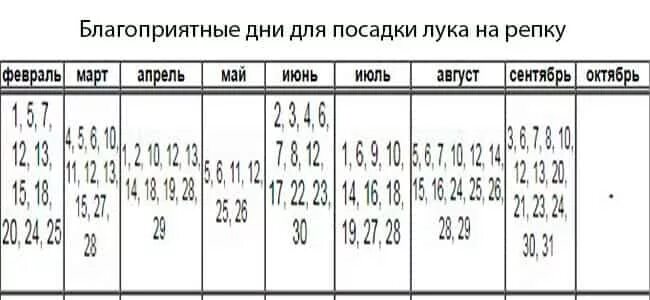 Посадка лука по зиму по лунному календарю Какого числа сажать лук в 2024 году: найдено 83 изображений