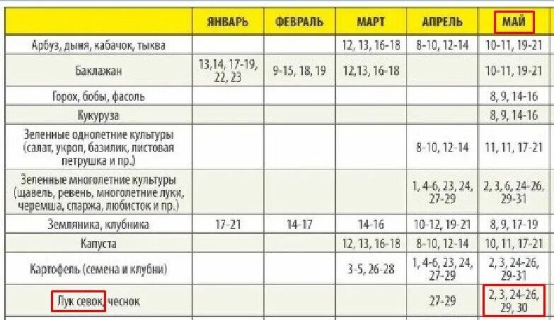 Посадка лука по зиму по лунному календарю Сажать лук в апреле по лунному календарю: найдено 80 картинок