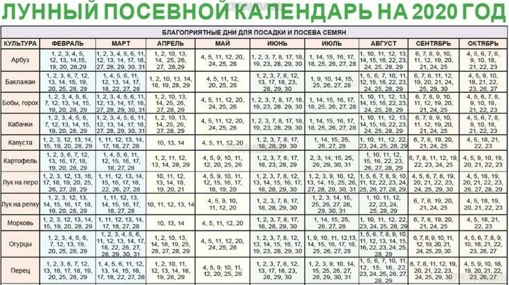 Посадка лука под зиму лунный календарь 2024 Лунный посевной календарь на 2020 год: Таблица благоприятных дней для посадки ра