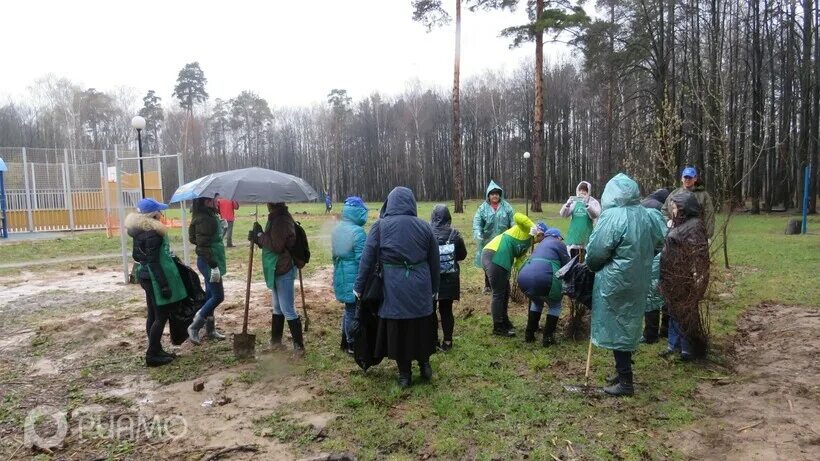 Посадка московская область мытищи парк леонидовка фото Мытищи Общеобластной субботник в парке "Леонидовка" Мытищ - БезФормата