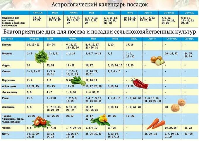 Посадка по лунному календарю благоприятные Подсказка садоводу: посадка помидор (томатов) на рассаду в 2020