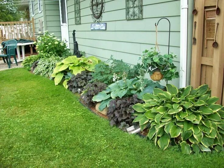 Посадка растений ландшафтный дизайн Hottest Photos Shade Garden ideas Strategies If the yard is filled with large sh