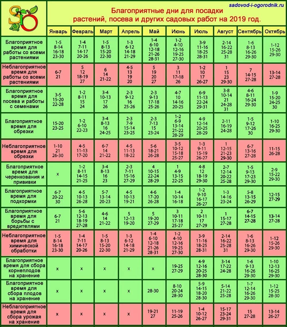 Посадка растений по лунному календарю 2024 Календарь благоприятных дней для посадки растений