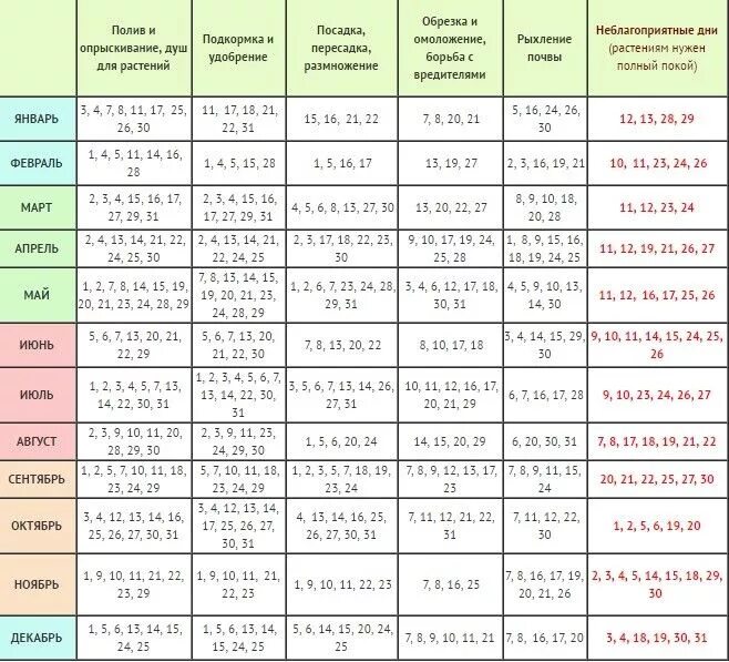 Посадка растений по лунному календарю 2024 Лунный календарь для комнатных цветов на 2017 год: благоприятные дни для посадки