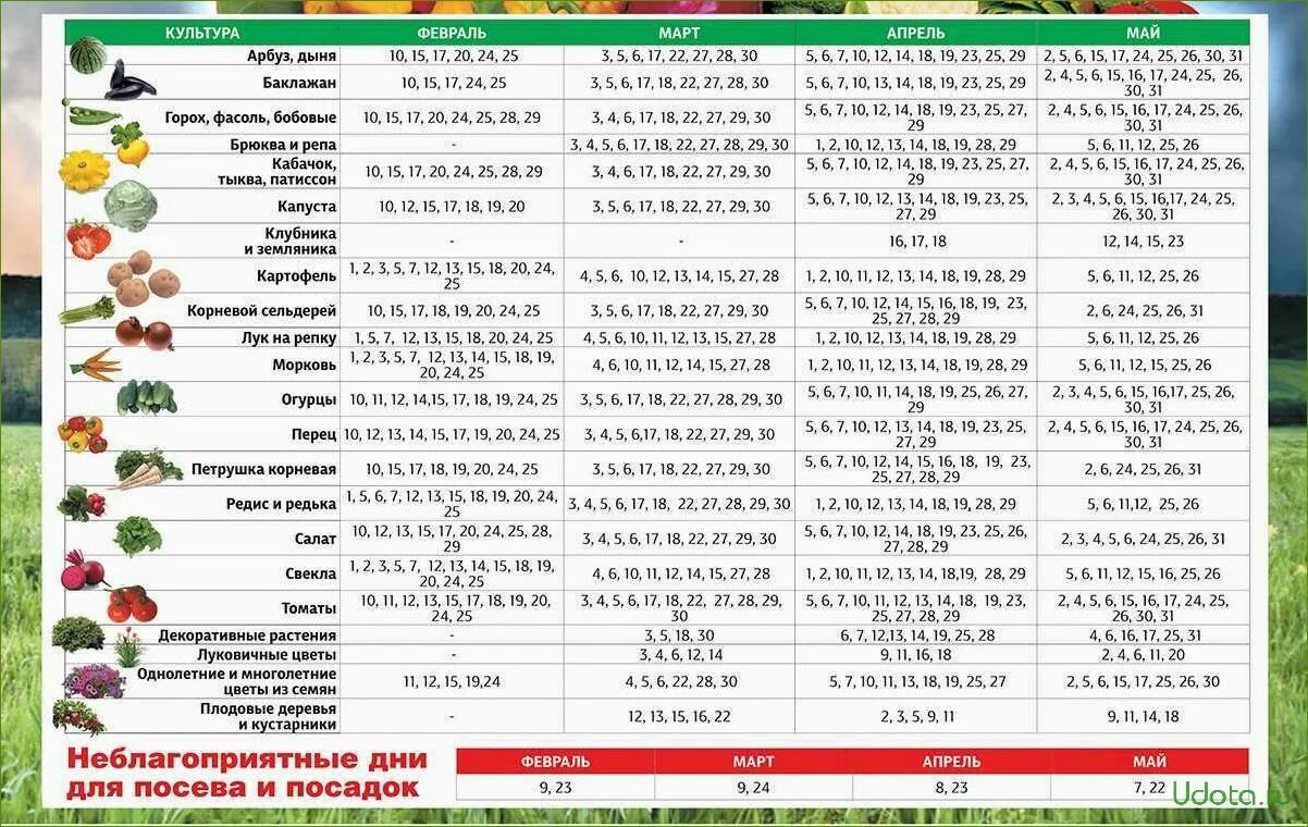 Посадка растений по лунному календарю 2024 Календарь посадки овощей в апреле 2024