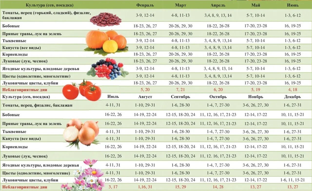 Картинки БЛАГОПРИЯТНЫЕ ДНИ ДЛЯ ПЕРЕСАДКИ ЦВЕТОВ