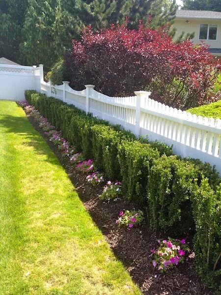 Посадка вдоль забора фото LINLA AWARD WINNING LONG ISLAND LANDSCAPE DESIGN & INSTALL Front lawn landscapin