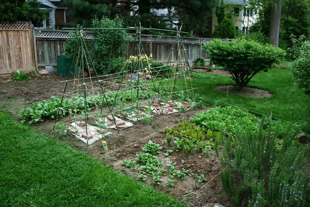 Посадки на дачном участке фото spring vegetable garden In the spirit of the new group, ed. Flickr