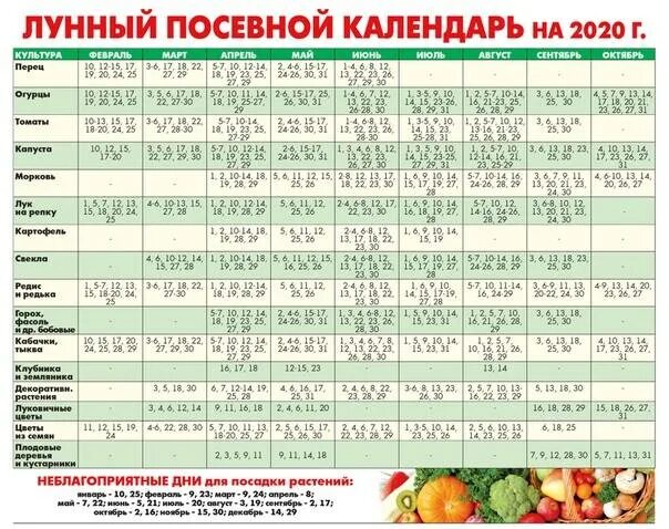 Посадочные дни 2024 по лунному календарю чеснока Посевной календарь сибири июнь 2024