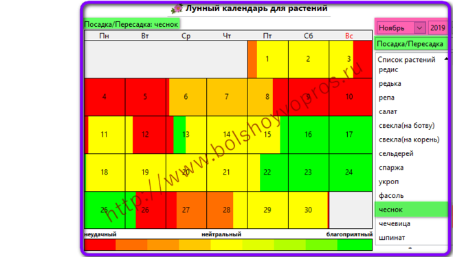 Посадочные дни чеснока по лунному календарю Лунный календарь посадка чеснока