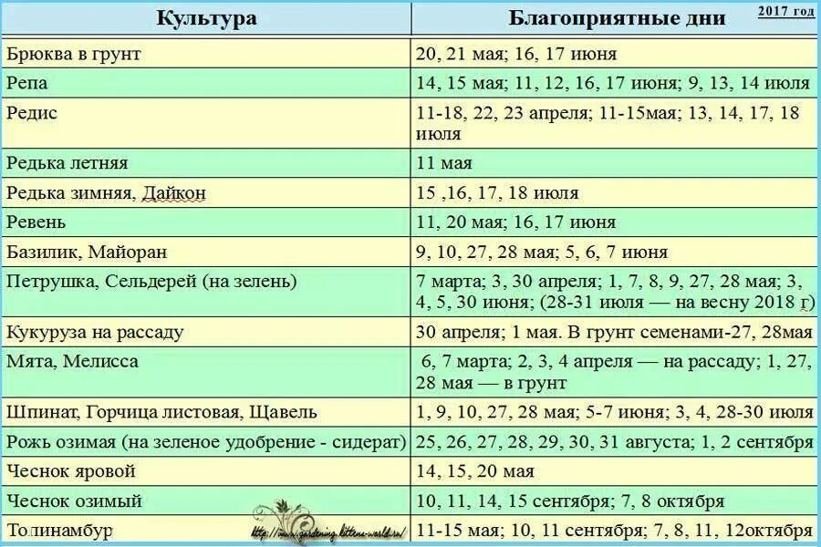 Посадочные дни чеснока по лунному календарю Уборка лука репчатого в Сибири: сроки, когда выкапывать в 2021 году