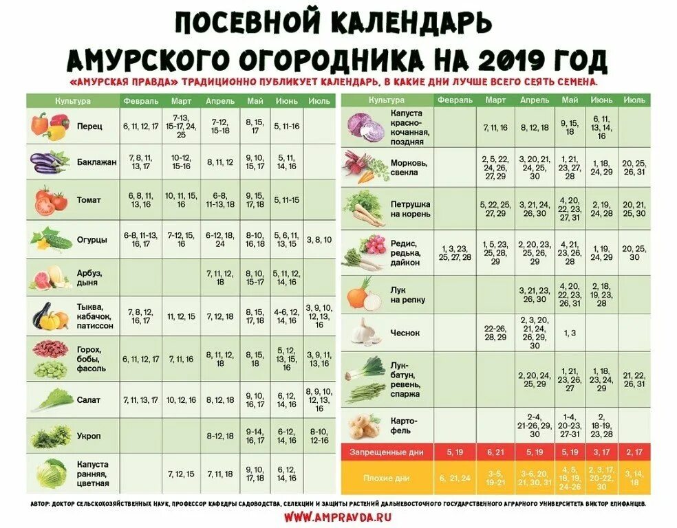 Посадочные дни календарь на 2024 год Картинки ПОСЕВНОЙ КАЛЕНДАРЬ ЗАБАЙКАЛЬЯ НА 2024 ГОД