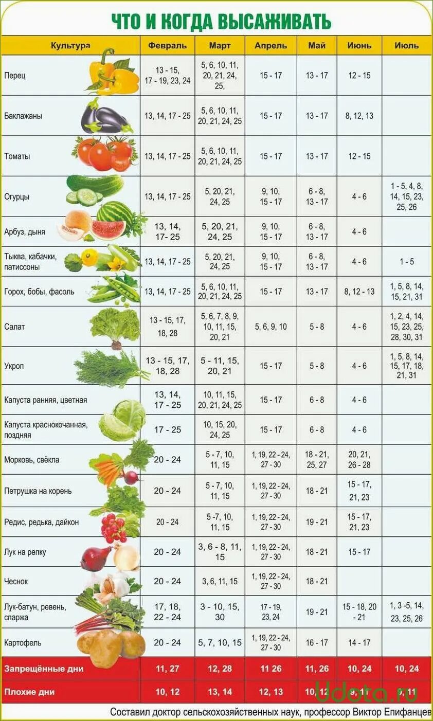 Посадочные дни лунный календарь 2024 Дачный календарь огородника фото - DelaDom.ru
