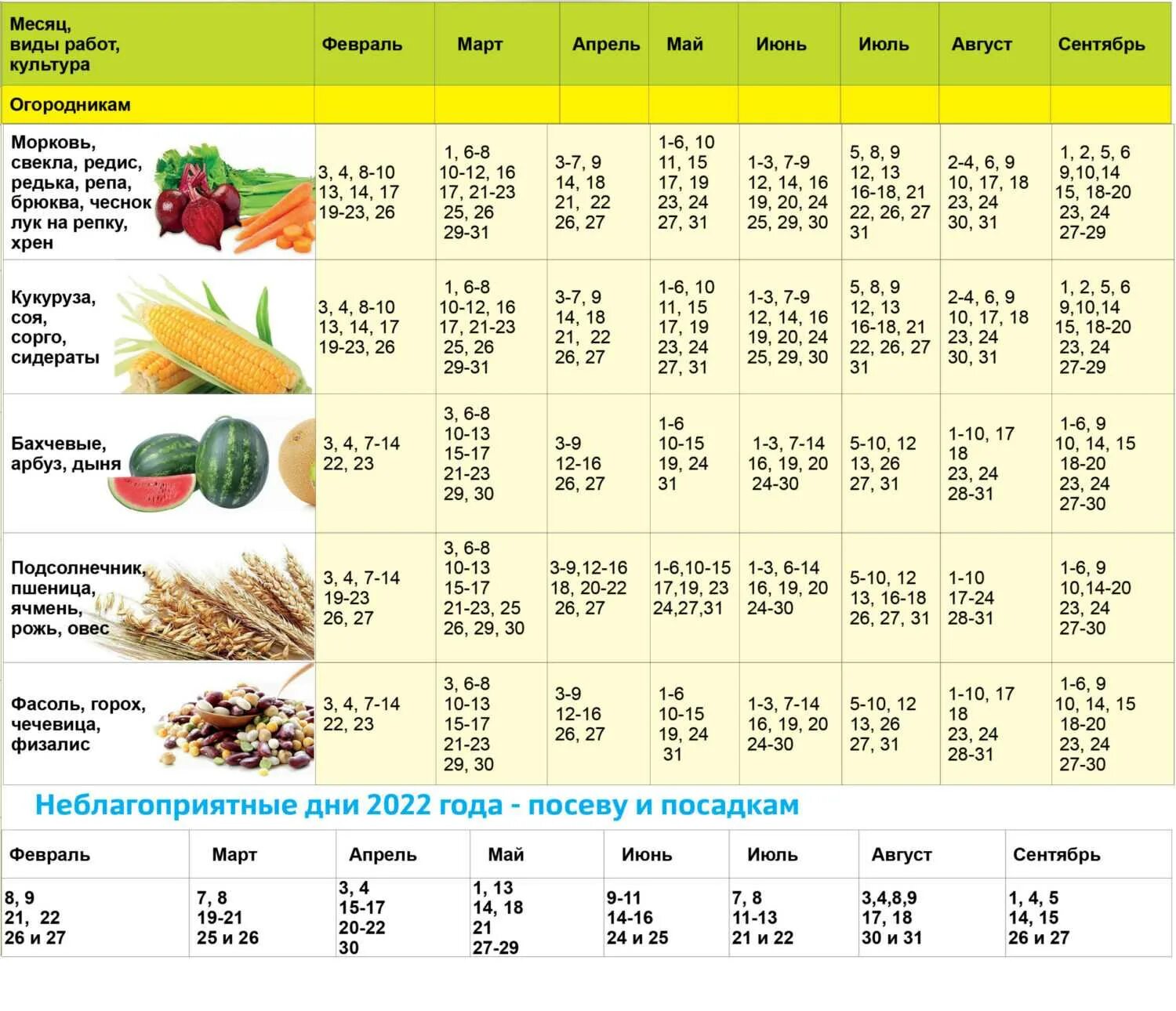 Посадочные дни в сентябре по лунному календарю Лунный календарь для посадки семян