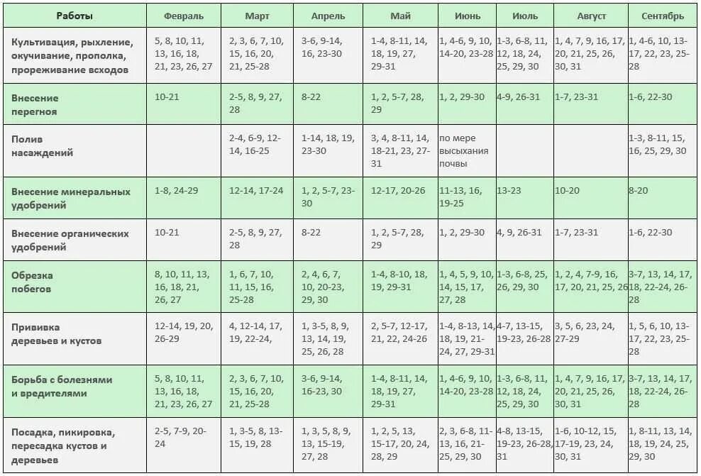 Посадочные дни в сентябре по лунному календарю Посевной календарь спб