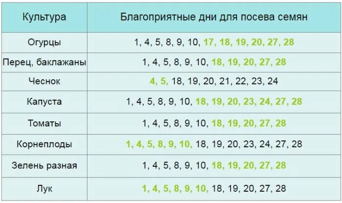 Посадочный календарь чеснока на октябрь 2024 года Картинки ПЕРЕСАДКА ЦВЕТОВ В ОКТЯБРЕ 2023