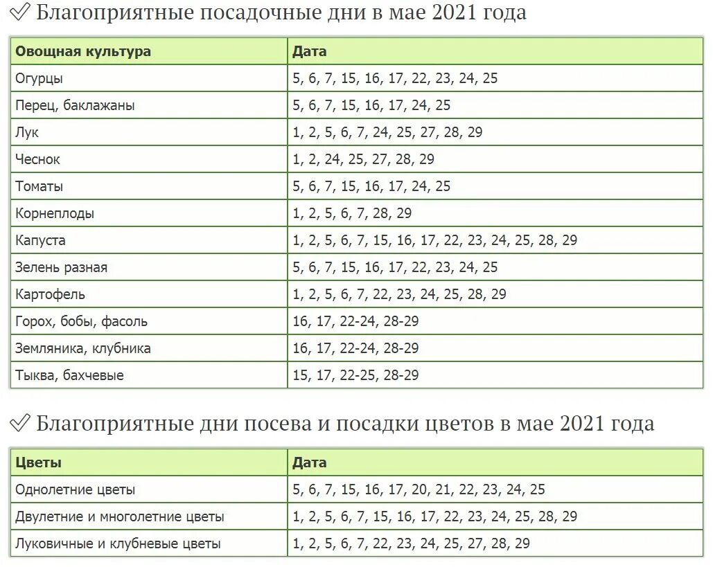 Посадочный календарь чеснока на октябрь 2024 года Благоприятные дни посадить чеснок