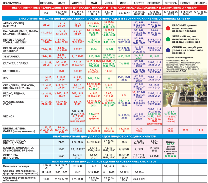 Посадочный календарь на 2024 год по месяцам Календарь огородника кубани 2024
