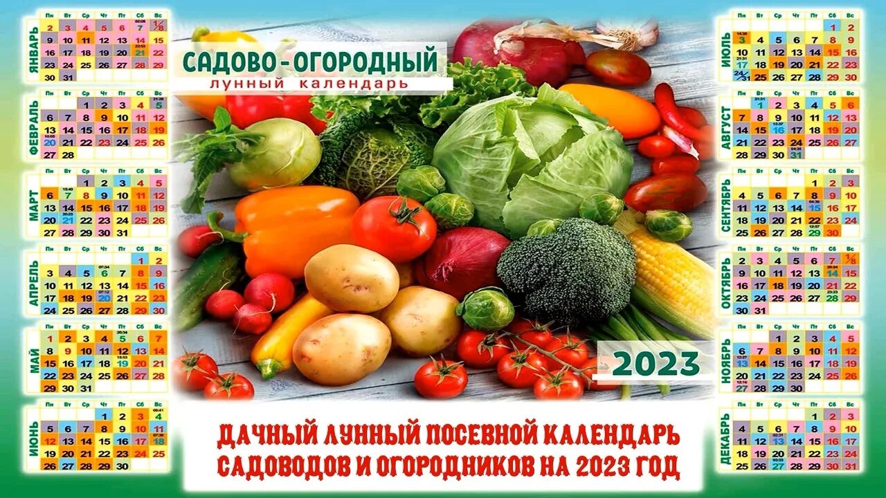 Посадочный календарь на 2024 год садовода Лунный календарь на 2024г огородника томаты: найдено 77 изображений