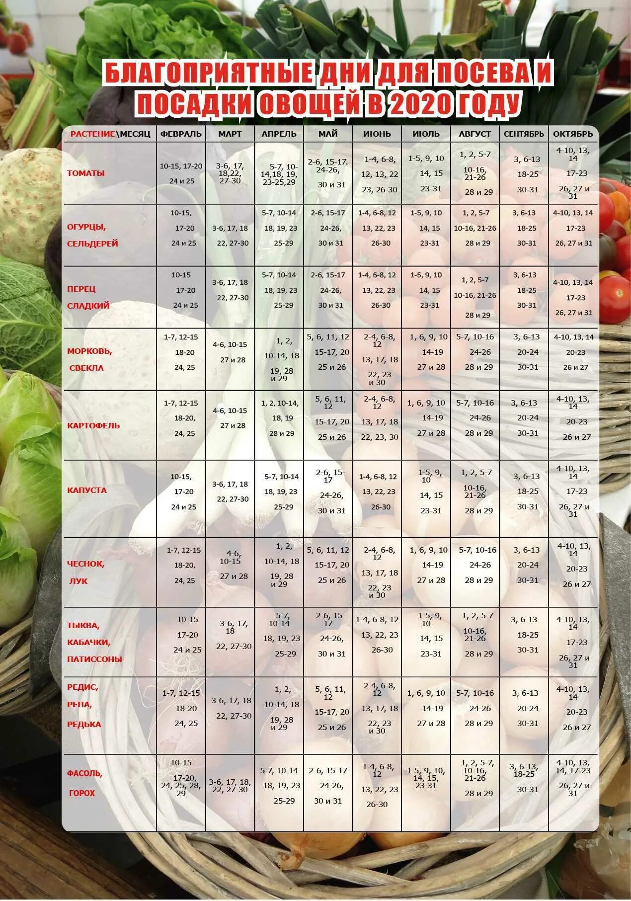Посадочный календарь на октябрь 2024 года Календарь посадки рассады на март 2024 садовода