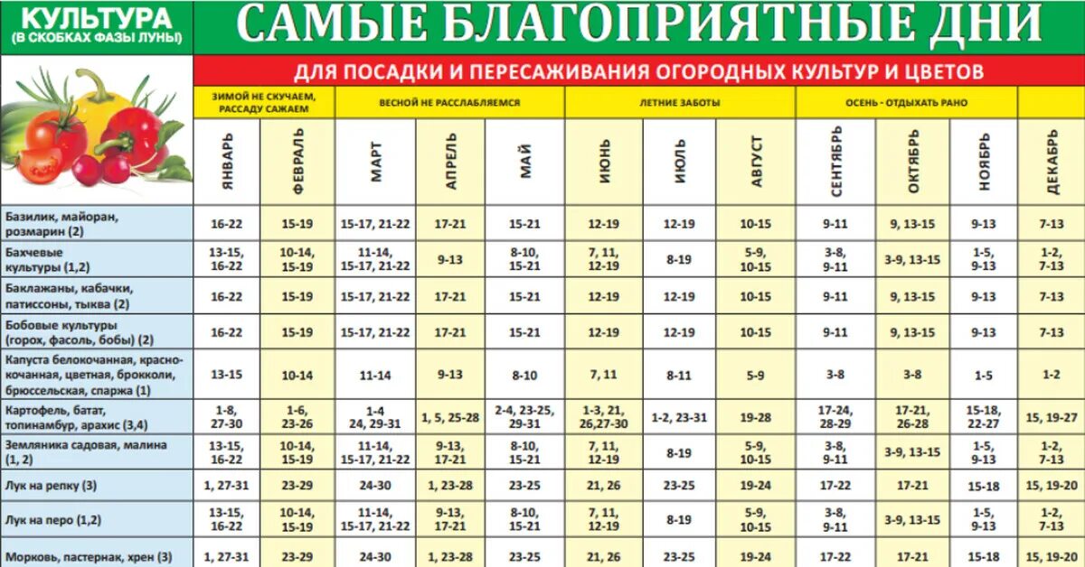 Посадочный календарь на октябрь 2024 года благоприятные Перец томаты посевной календарь