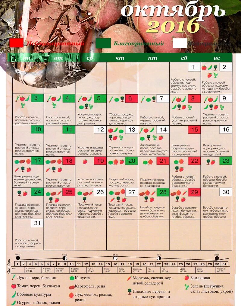 Посадочный календарь на октябрь 24 года Посадочный календарь на ноябрь 23