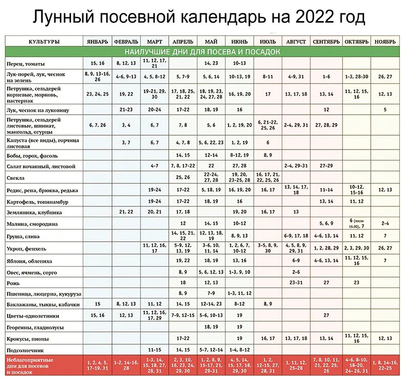 Посадочный календарь на октябрь 24 года Календарь посадки чеснока в ноябре 2023 года